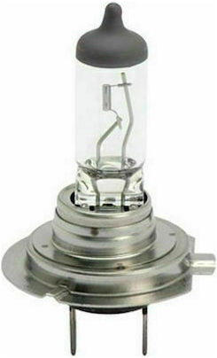 Wurth H4 12V 60/55W 1τμχ